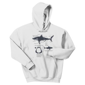 Great White Shark Anatomy Marine Biologist Kids Hoodie