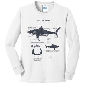 Great White Shark Anatomy Marine Biologist Kids Long Sleeve Shirt