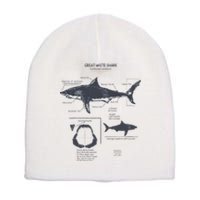 Great White Shark Anatomy Marine Biologist Short Acrylic Beanie