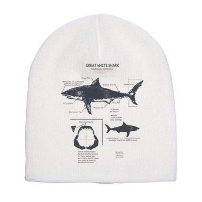 Great White Shark Anatomy Marine Biologist Short Acrylic Beanie