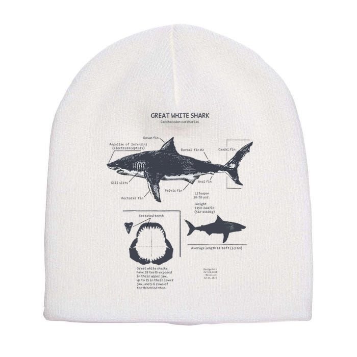 Great White Shark Anatomy Marine Biologist Short Acrylic Beanie