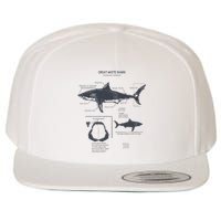 Great White Shark Anatomy Marine Biologist Wool Snapback Cap