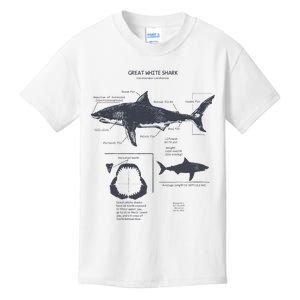 Great White Shark Anatomy Marine Biologist Kids T-Shirt