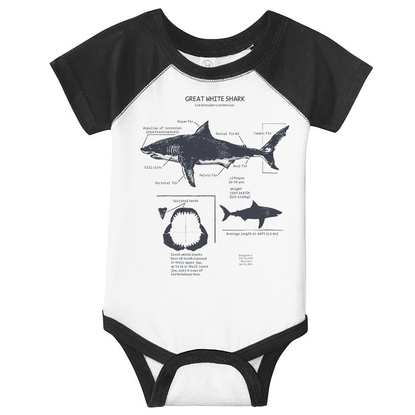 Great White Shark Anatomy Marine Biologist Infant Baby Jersey Bodysuit