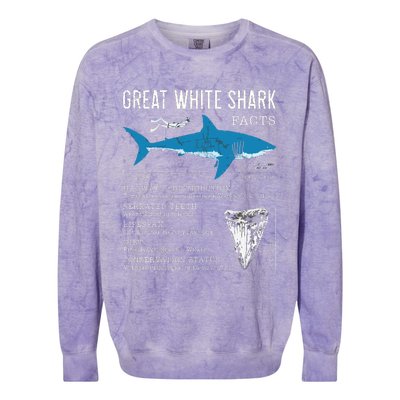 Great White Shark Facts Educational Shark Lover Sharks Tooth Colorblast Crewneck Sweatshirt