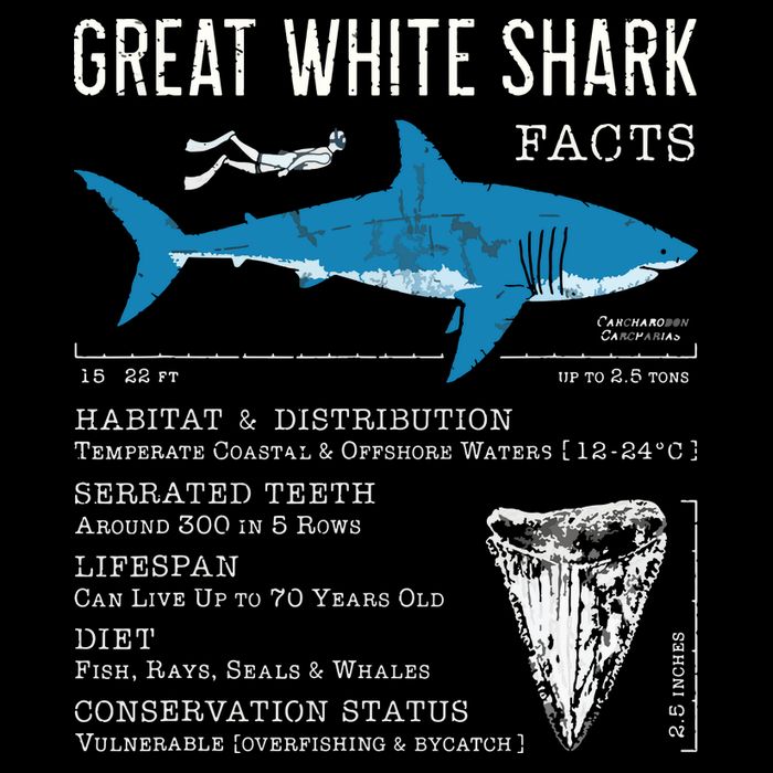 Great White Shark Facts Educational Shark Lover Sharks Tooth Cooling Performance Crew T-Shirt