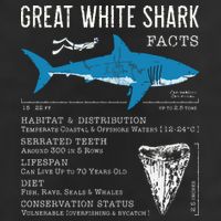 Great White Shark Facts Educational Shark Lover Sharks Tooth 11oz C Handle Ceramic Mug