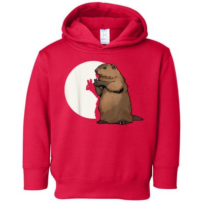 Groundhog Whisperer Tee Funny Team Shadow Crew Groundhog Day Toddler Hoodie