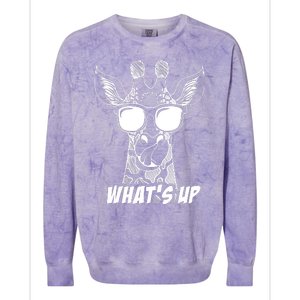 Giraffe WhatS Up Colorblast Crewneck Sweatshirt