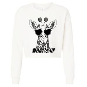 Giraffe WhatS Up Cropped Pullover Crew