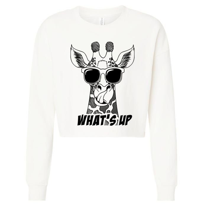 Giraffe WhatS Up Cropped Pullover Crew