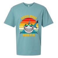 Guess What Week It Is Retro Shark Week Sueded Cloud Jersey T-Shirt