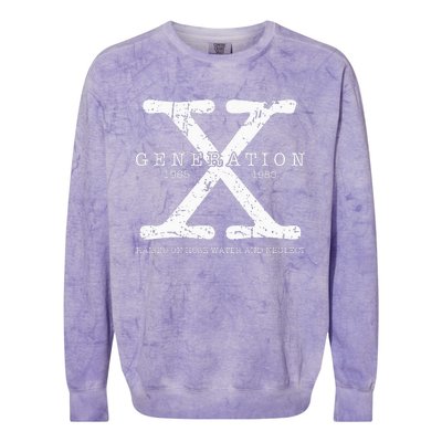 Generation X 1965 1980 Raised On Hose Water And Neglect Colorblast Crewneck Sweatshirt