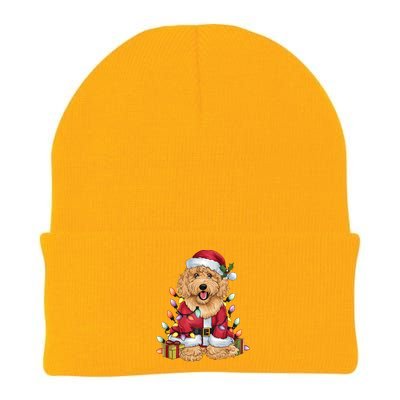 Goldendoodle Xmas Lighting Santa Goldendoodle Dog Christmas Gift Knit Cap Winter Beanie