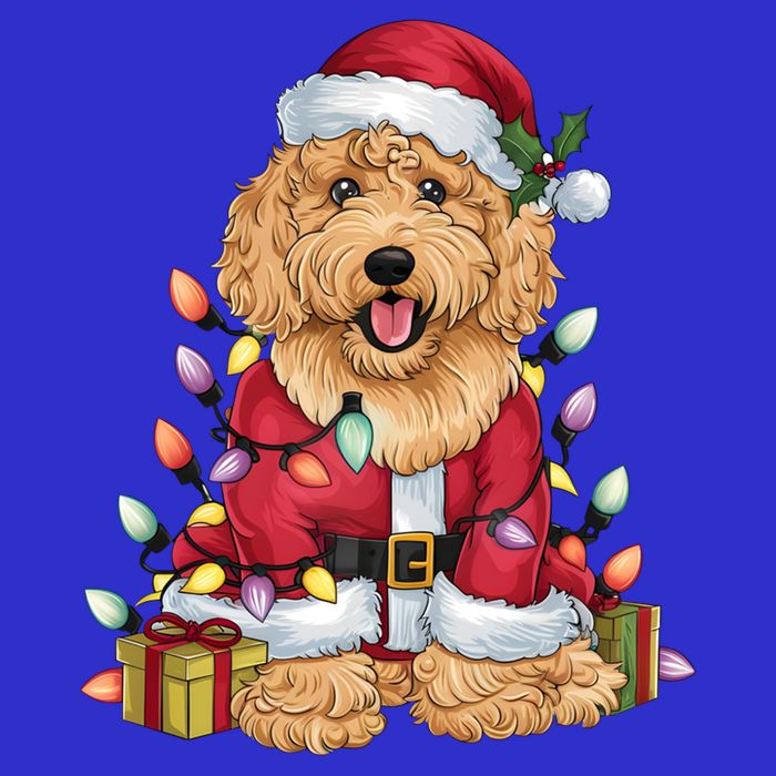 Goldendoodle Xmas Lighting Santa Goldendoodle Dog Christmas Gift Zip Tote Bag
