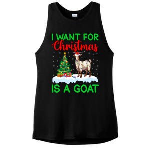 Goat Xmas Tree Lighting I Want For Christmas Is A Goat Gift Ladies PosiCharge Tri-Blend Wicking Tank