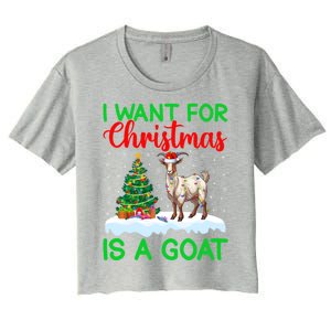 Goat Xmas Tree Lighting I Want For Christmas Is A Goat Gift Women's Crop Top Tee