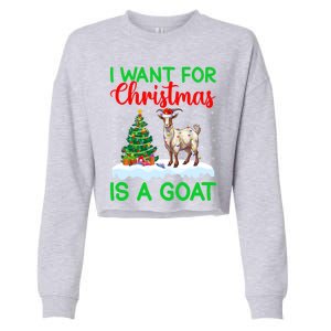 Goat Xmas Tree Lighting I Want For Christmas Is A Goat Gift Cropped Pullover Crew