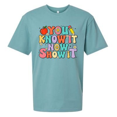 Groovy You Know It Now Show It Test Day Testing Day 2024 Sueded Cloud Jersey T-Shirt