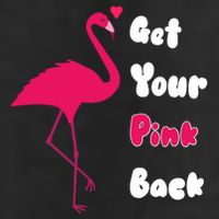 Get Your Pink Back Flamingo Sweatshirt Adult Drive Performance Visor