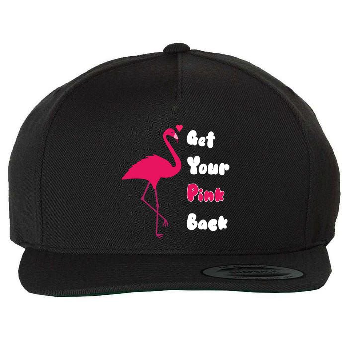 Get Your Pink Back Flamingo Sweatshirt Wool Snapback Cap