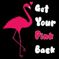 Get Your Pink Back Flamingo Sweatshirt Wool Snapback Cap