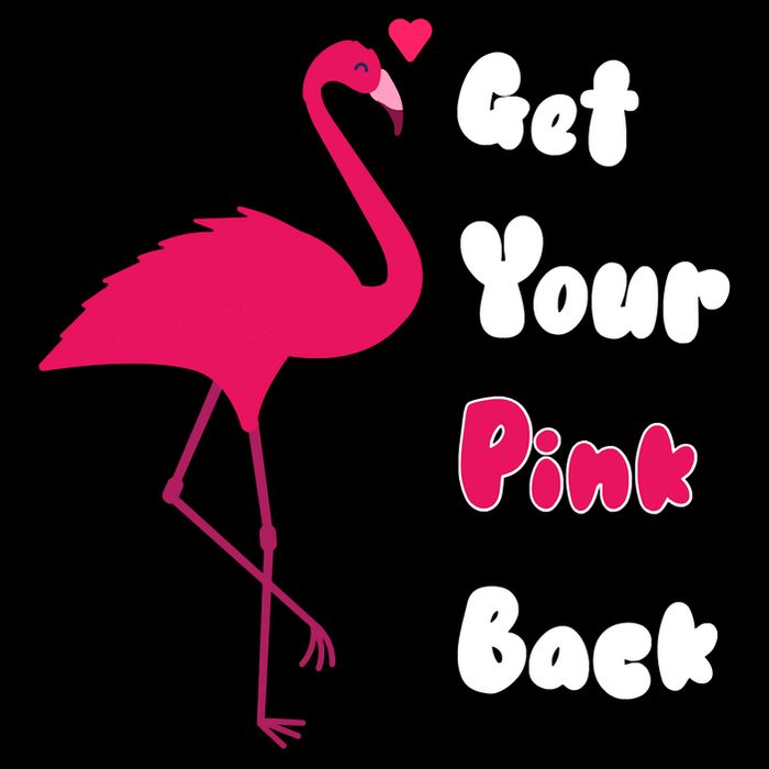 Get Your Pink Back Flamingo Sweatshirt Wool Snapback Cap
