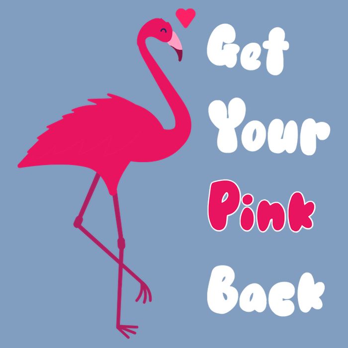 Get Your Pink Back Flamingo Sweatshirt Women's Crop Top Tee