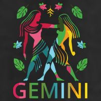 Gemini Zodiac Spring Gemini Birthday Tumbler