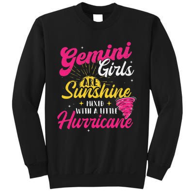 Gemini Zodiac Sign Horoscope Astrology Lover Sweatshirt