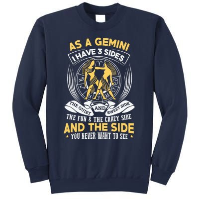 Gemini Zodiac Sign Gift Astrology Sweatshirt