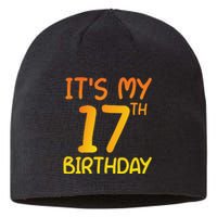 Happy 17th Birthday Gift It's My 17 Birthday 17 Years Bday Sustainable Beanie