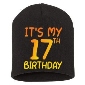 Happy 17th Birthday Gift It's My 17 Birthday 17 Years Bday Short Acrylic Beanie