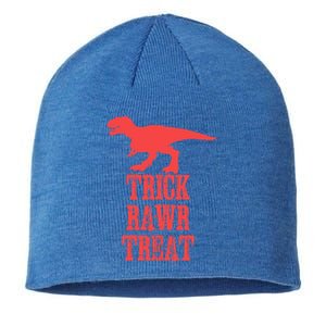 Halloween 2020 Costume Trick Rawr Treat Gift Sustainable Beanie