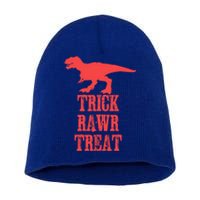 Halloween 2020 Costume Trick Rawr Treat Gift Short Acrylic Beanie