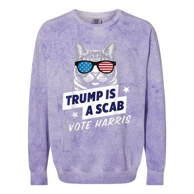 Harriswaltz 2024 Election Kamalaharris Timwaltz 2024 Colorblast Crewneck Sweatshirt