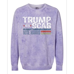 Harriswaltz 2024 Election Kamalaharris Timwaltz 2024 Colorblast Crewneck Sweatshirt