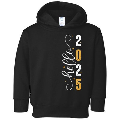 Hello 2025 New Year Front Back Design Toddler Hoodie