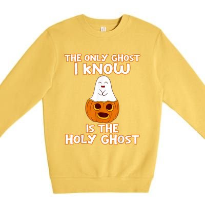 Halloween 2020 The Only Ghost I Know Is The Holy Ghost Premium Crewneck Sweatshirt