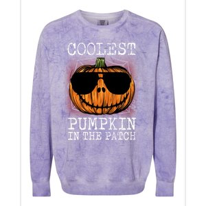 Holiday 365 Halloween Coolest Pumpkin In The Patch Gift Colorblast Crewneck Sweatshirt