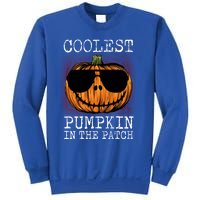 Holiday 365 Halloween Coolest Pumpkin In The Patch Gift Sweatshirt