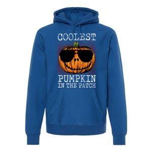 Holiday 365 Halloween Coolest Pumpkin In The Patch Gift Premium Hoodie