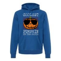 Holiday 365 Halloween Coolest Pumpkin In The Patch Gift Premium Hoodie