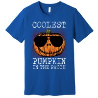 Holiday 365 Halloween Coolest Pumpkin In The Patch Gift Premium T-Shirt