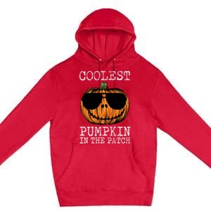 Holiday 365 Halloween Coolest Pumpkin In The Patch Gift Premium Pullover Hoodie