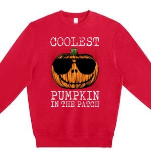 Holiday 365 Halloween Coolest Pumpkin In The Patch Gift Premium Crewneck Sweatshirt