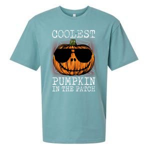 Holiday 365 Halloween Coolest Pumpkin In The Patch Gift Sueded Cloud Jersey T-Shirt