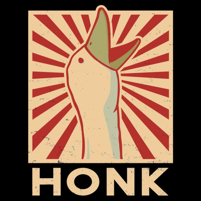 Honk 3 Drawstring Bag
