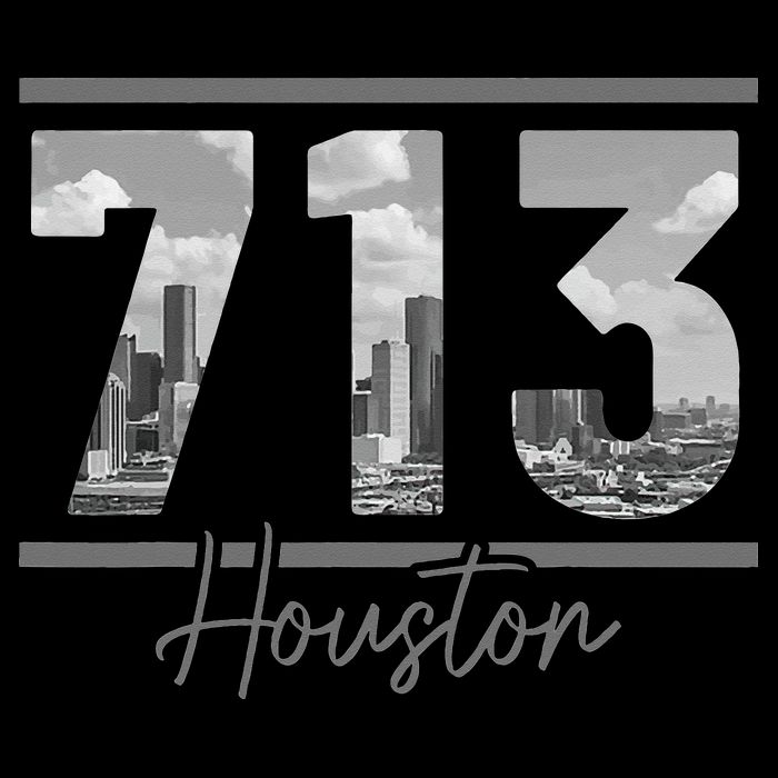 Houston 713 Area Code Skyline Texas Pride Vintage Cooling Performance Crew T-Shirt