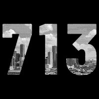 Houston 713 Area Code Skyline Texas Pride Vintage T-Shirt